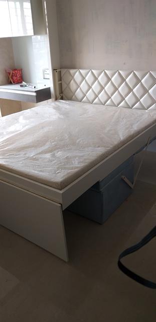 Folding Wall Bed with Moving Sofa